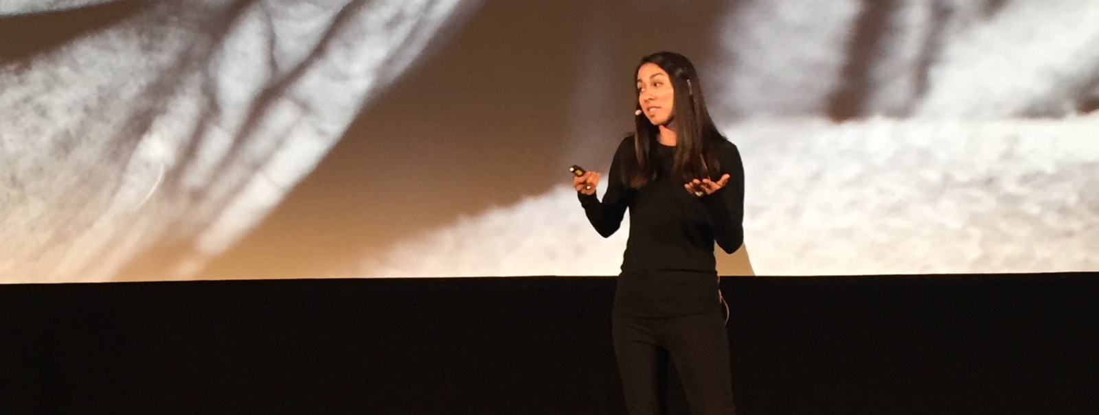 Representing Facebook Design on Stage
